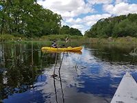 Assabet Canoe Trip