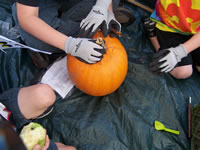 Apples-Pumpkins