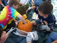 Apples-Pumpkins