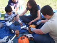 Apples-Pumpkins