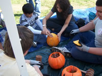 Apples-Pumpkins